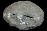 Smoky Keokuk Geode with Calcite & Filiform Pyrite - Missouri #144812-3